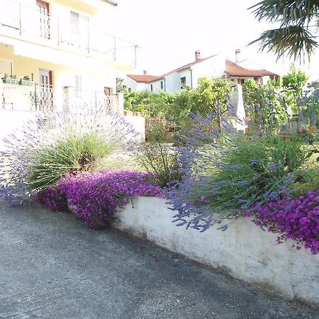 Guest House Jasmin Rovinj Extérieur photo