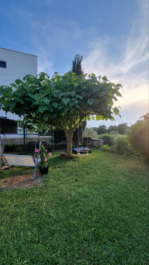Guest House Jasmin Rovinj Extérieur photo